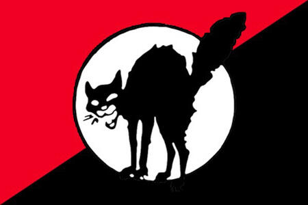 The anarcho Syndicalism flag which depicts a black cat hissing with a half red and half black flag as the background.